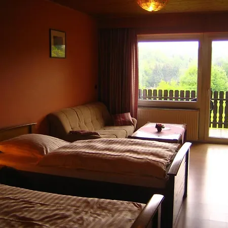 Hotel & Apartmenthaus Zum Pfingsttor 2*