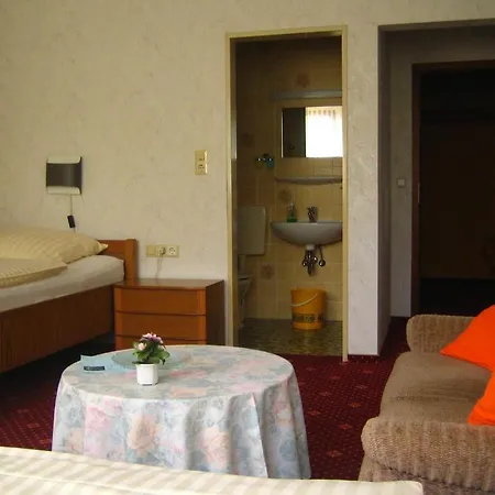 Hotel & Apartmenthaus Zum Pfingsttor Hotel