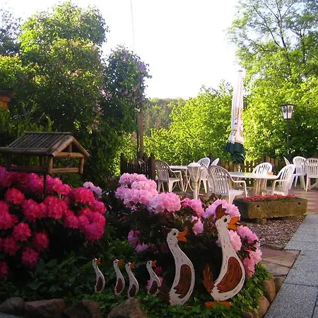 Hotel & Apartmenthaus Zum Pfingsttor 2* Rinteln