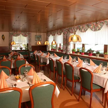 Hotel & Apartmenthaus Zum Pfingsttor Hotel